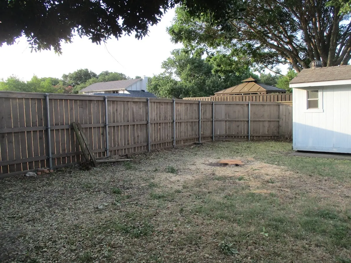 Cleared yard after professional tree removal in Machias