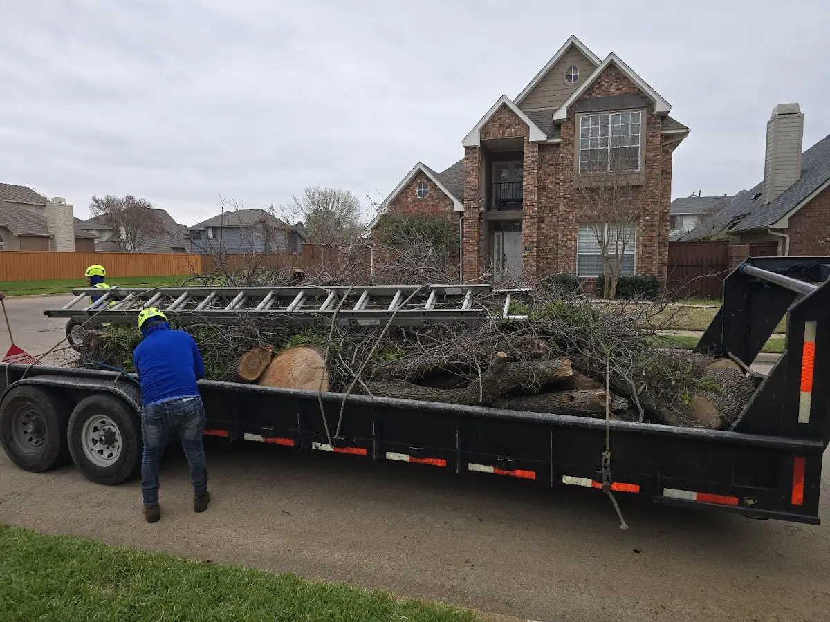 Expert Tree Fertilization with proper safety equipment in Machias